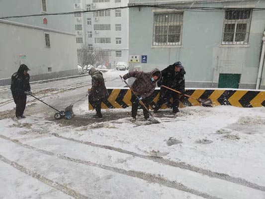 清雪在行动|鑫诚物业与业主齐心协力清理积雪，共建和谐社小区